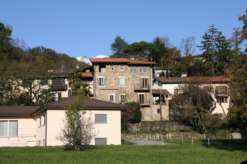 origlio