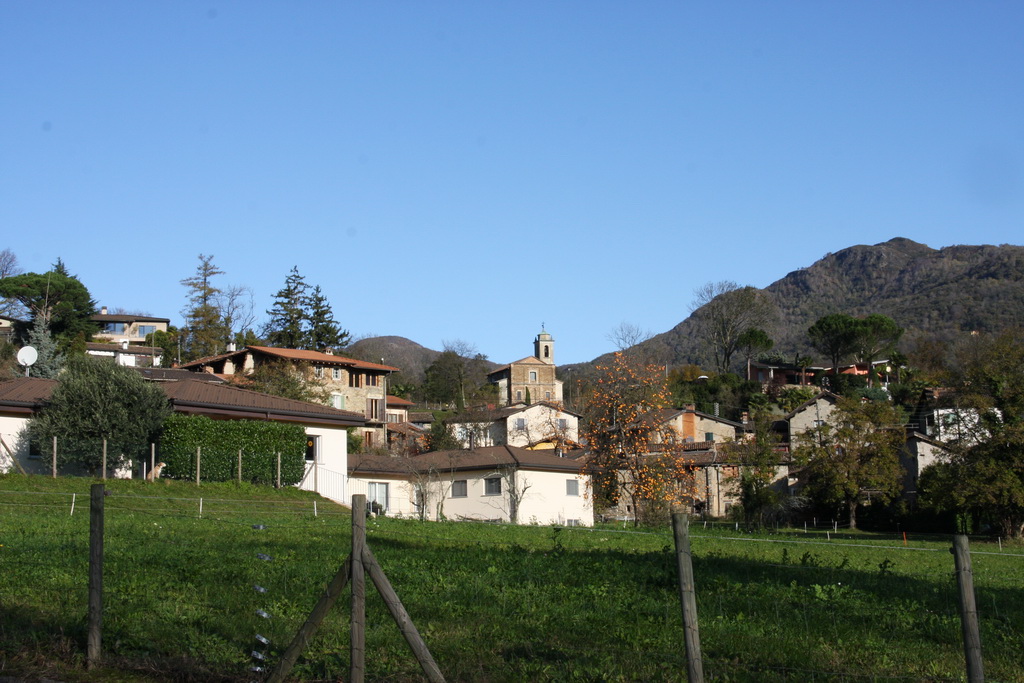 origlio