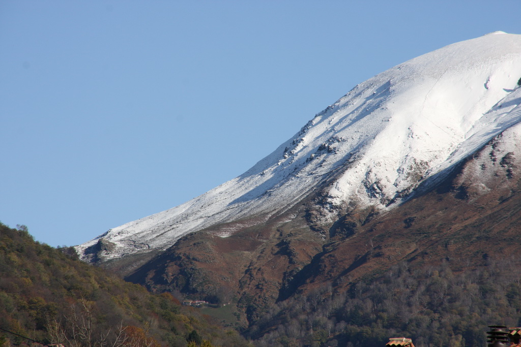origlio